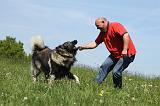 ADULTE ET CHIEN 164